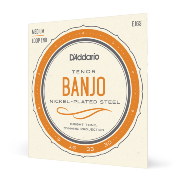 D'Addario EJ63 Tenor Banjo Strings, Nickel, 9-30 - D'Addario