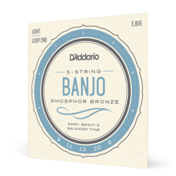 D'Addario EJ69 5-String Banjo Strings, Phosphor Bronze, Light, 9-20 - D'Addario