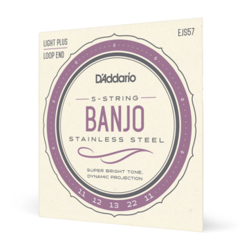 D'Addario EJS57 5-String Banjo Strings, Stainless Steel, Custom Medium, 11-22 - D'Addario