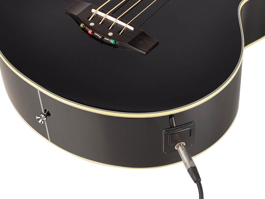 Basso acustico elettrificato, colore nero – Richwood – ppIANISSIMO