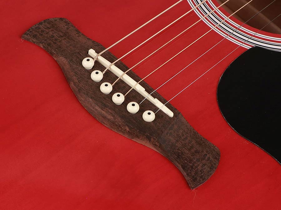 Chitarra acustica dreadnought elettrificata – Richwood – ppIANISSIMO