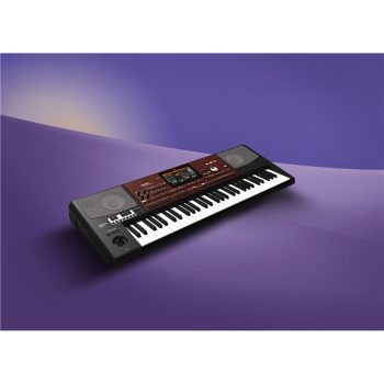 Pa700 OR - Korg - immagine 6