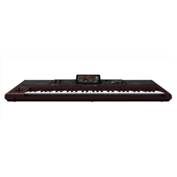 Pa1000 - Korg - immagine 4