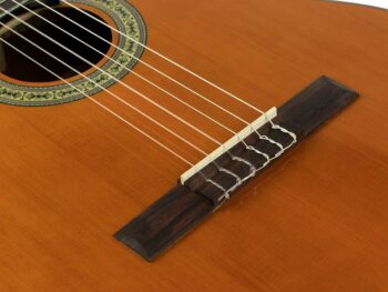 Chitarra classica 4/4 mancina - Salvador - immagine 5