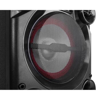 LIVE2104 KaraokeStat.2x10USB,2XMic - Fenton - immagine 8