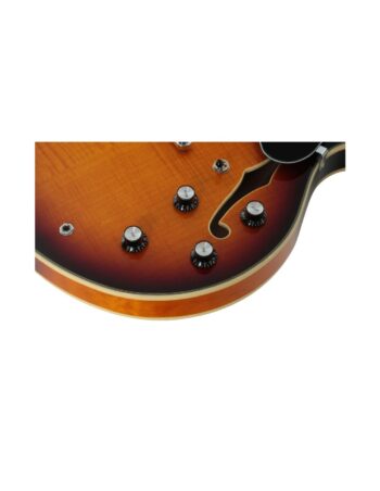 H7 VS VINTAGE SUNBURST - SIRE GUARS - immagine 3