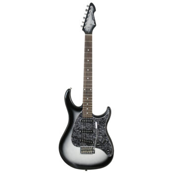 RAPTORÂ® CUSTOM SILVERBURST - PEAVEY