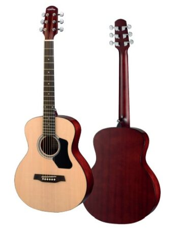 WAT350W STANDARD 300 7/8 TRAVEL ACOUSTIC - WALDEN